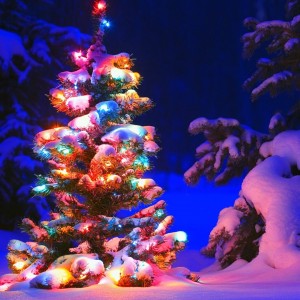 Christmas tree in deep snow